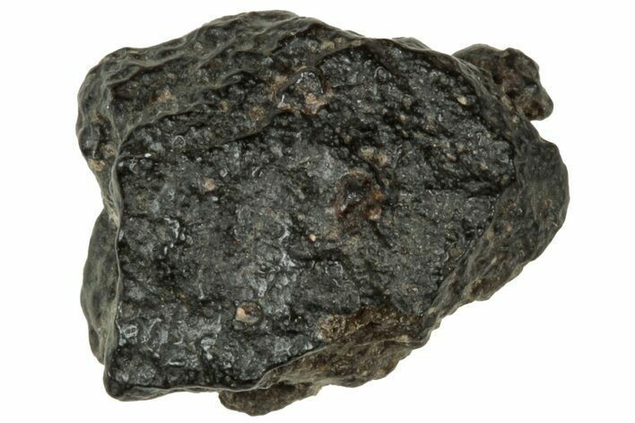 Abadla CM Chondrite Meteorite ( g) - Algeria #313048
